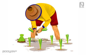 ایده برای کسب و کار در شمال کشور